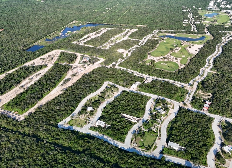 780